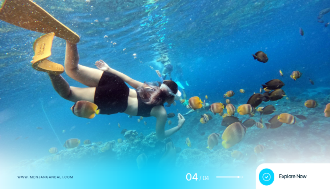 Discover Menjangan Island The Ultimate Guide to Diving, Snorkeling & Marine Adventures