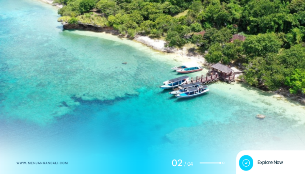 Explore West Bali National Park Wildlife, Bird Watching, Jungle Trekking & Nature Tours