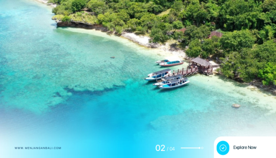Explore West Bali National Park Wildlife, Bird Watching, Jungle Trekking & Nature Tours