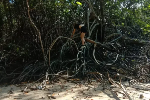 Jungle Trekking (3) Jungle Trekking (3)