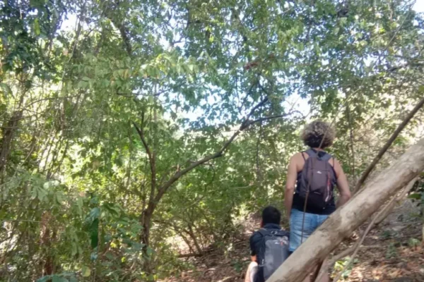 Jungle Trekking (7) Jungle Trekking (7)