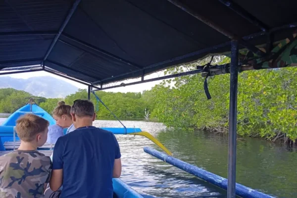 Mangrove Tour (3) Mangrove Tour (3)