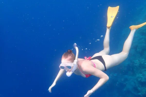 Snorkeling (7) Snorkeling (7)