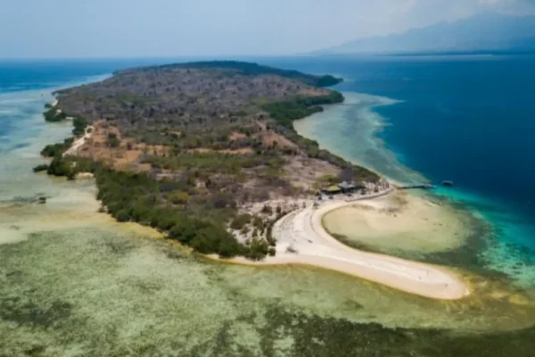 Snorkeling (9) Snorkeling (9)