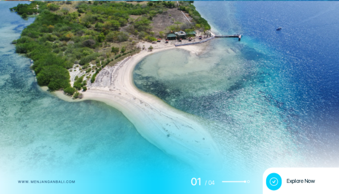 Why Menjangan Bali Should Be on Your Travel List A Complete Guide to Nature & Adventure