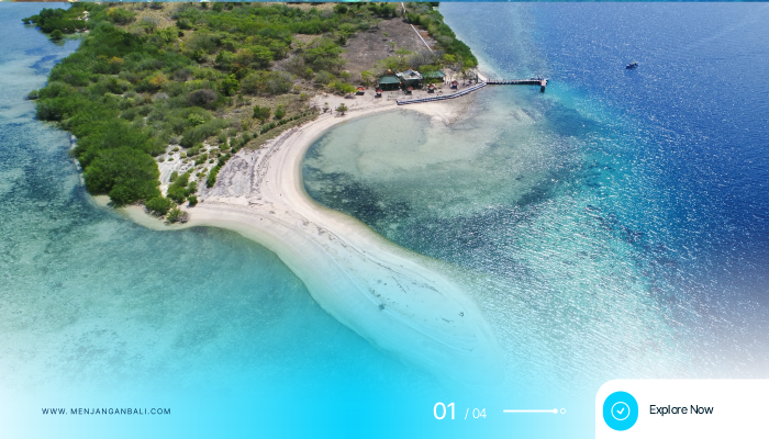 Why Menjangan Bali Should Be on Your Travel List A Complete Guide to Nature & Adventure